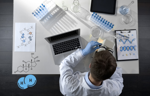 Scientific Work: Interdisciplinary Minor In Hydrogen Technology at Michigan Techlogical University